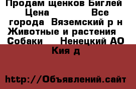 Продам щенков Биглей › Цена ­ 15 000 - Все города, Вяземский р-н Животные и растения » Собаки   . Ненецкий АО,Кия д.